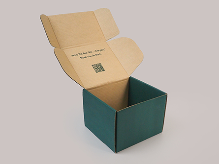 Airplane Shipping Box for Package